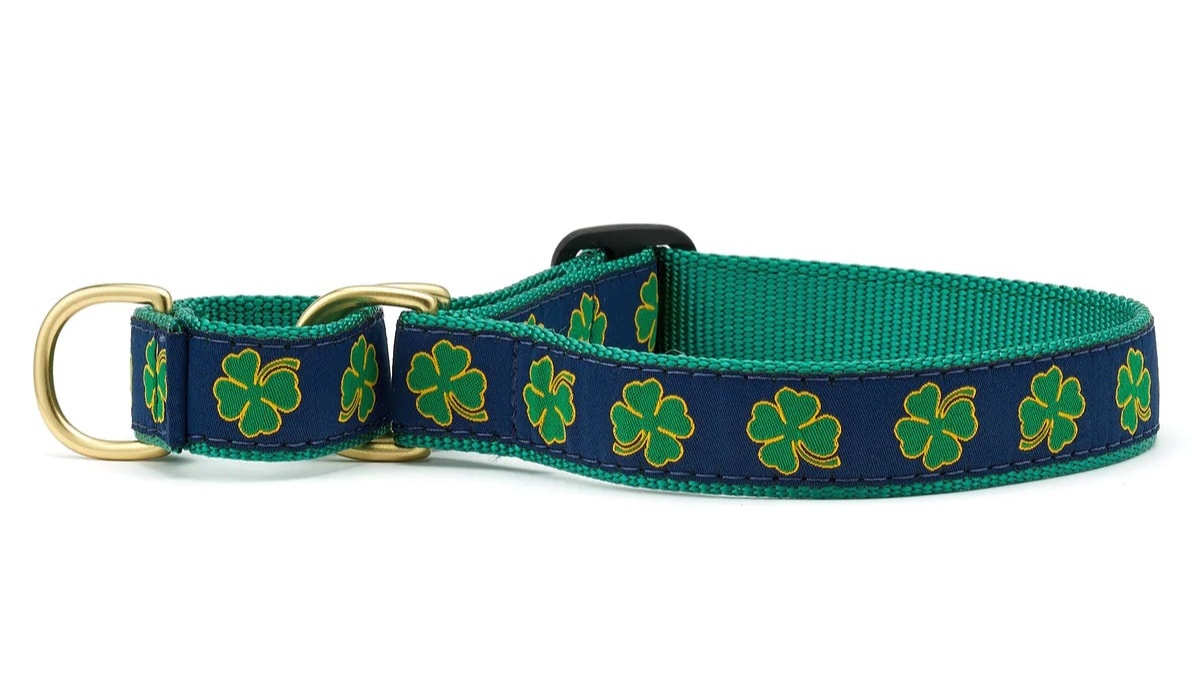 Dog collar with green clover leaf prints in a white background
