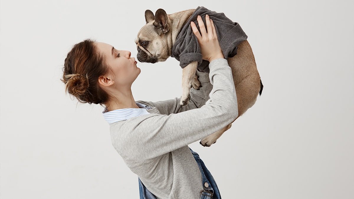 A dog wearing a dark grey dog sweater is lifted by a woman 