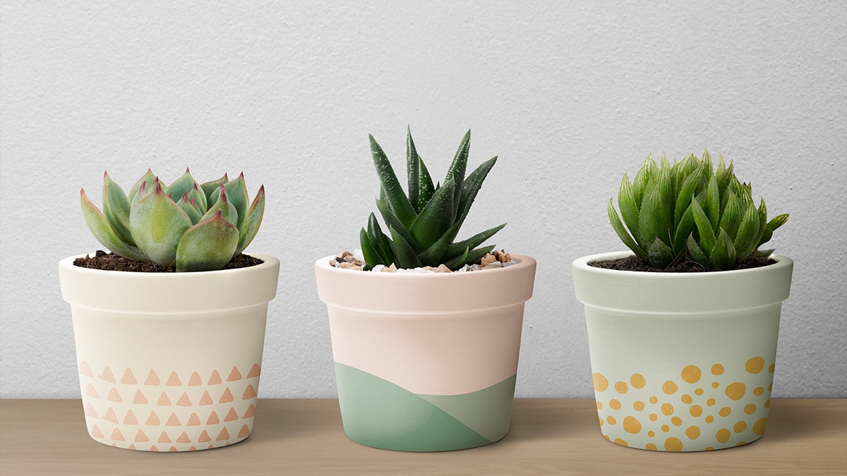 Three different types of plants in a plant vase placed upon a table