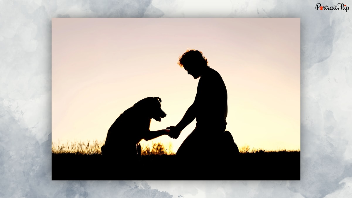 A picture of a man holding the paw of a dog.