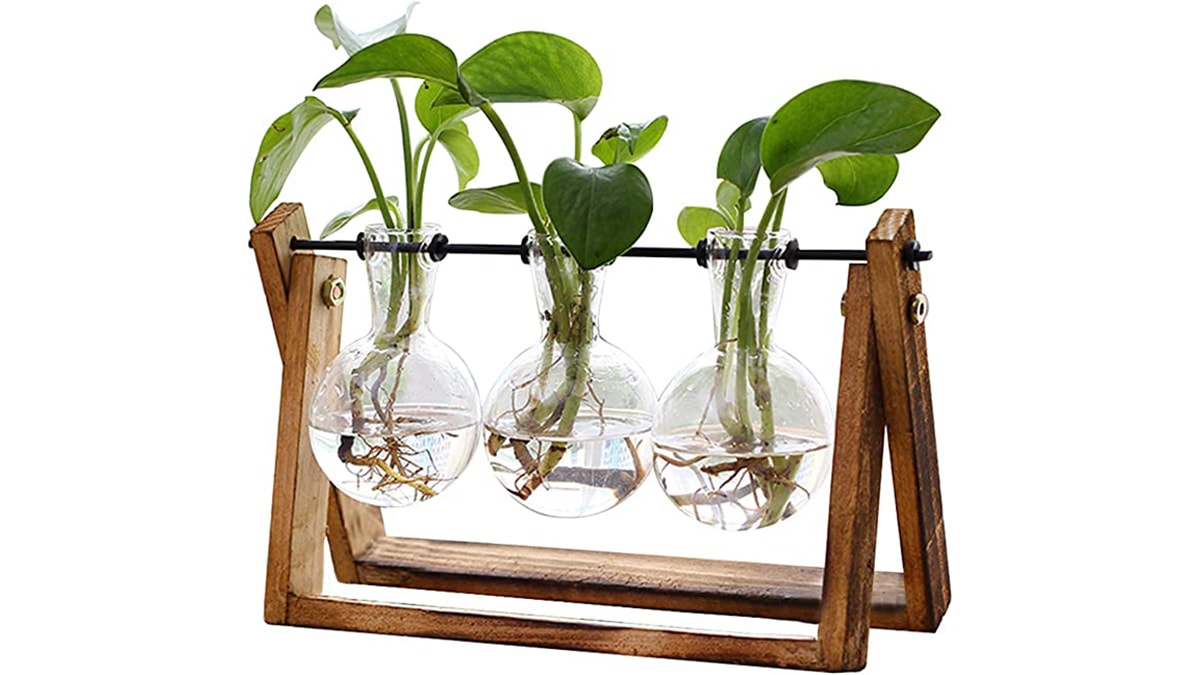 An indoor plant décor with a wooden stan di a white background.  