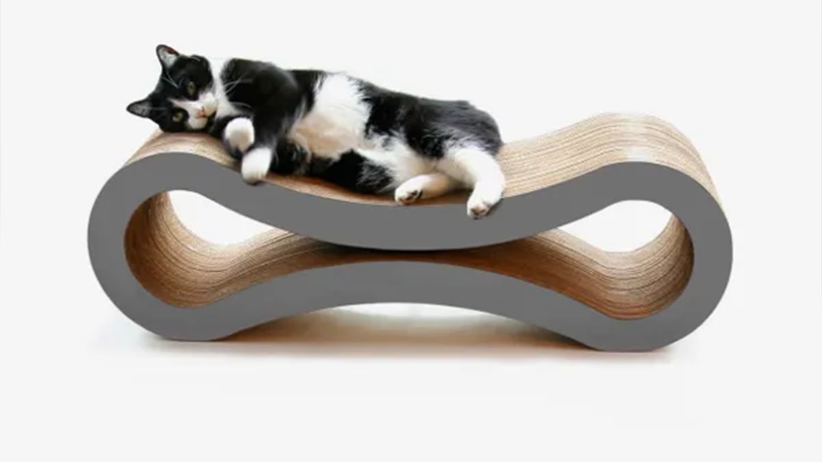 A cat laying on a cat scratcher lounge in a white background. 