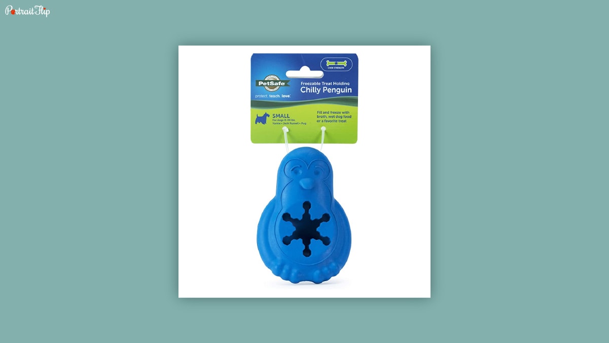 A blue colored plastic penguin shaped toy with a star shaped opening in the center kept in a white background as dog birthday gifts.