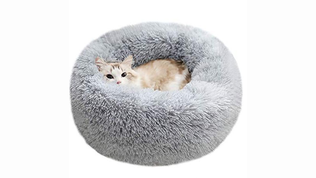 A cat sleeping in a grey cat bed in a white background. 