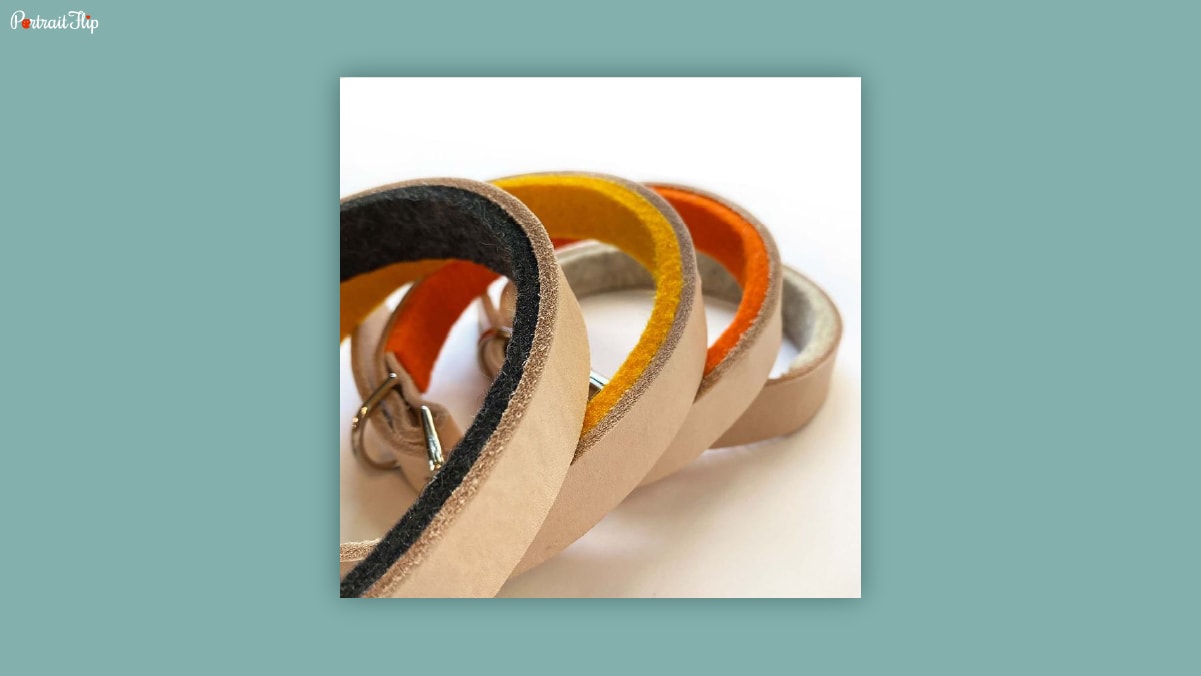 Four different and comfortable dog collars kept on each other in a white background as dog birthday gifts.