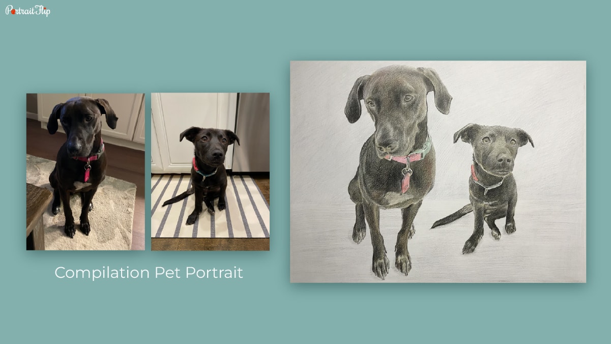 A compilation portrait of two dogs on the right and their real photos on the left as dog birthday gifts. 