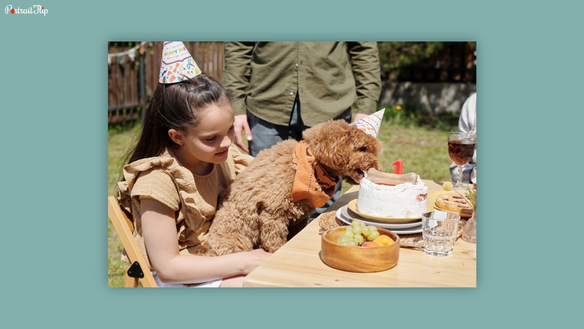 A dog eating a cake from a table while sitting on a girl's lap in an outdoor setting. The dog and the girl both are wearing birthday caps. 