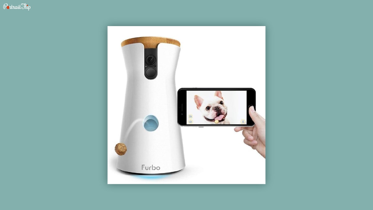 A white colored camera with a dog treat dispensing out form it and a hand holding a phone with a dog's photograph in front of it on a white background. 