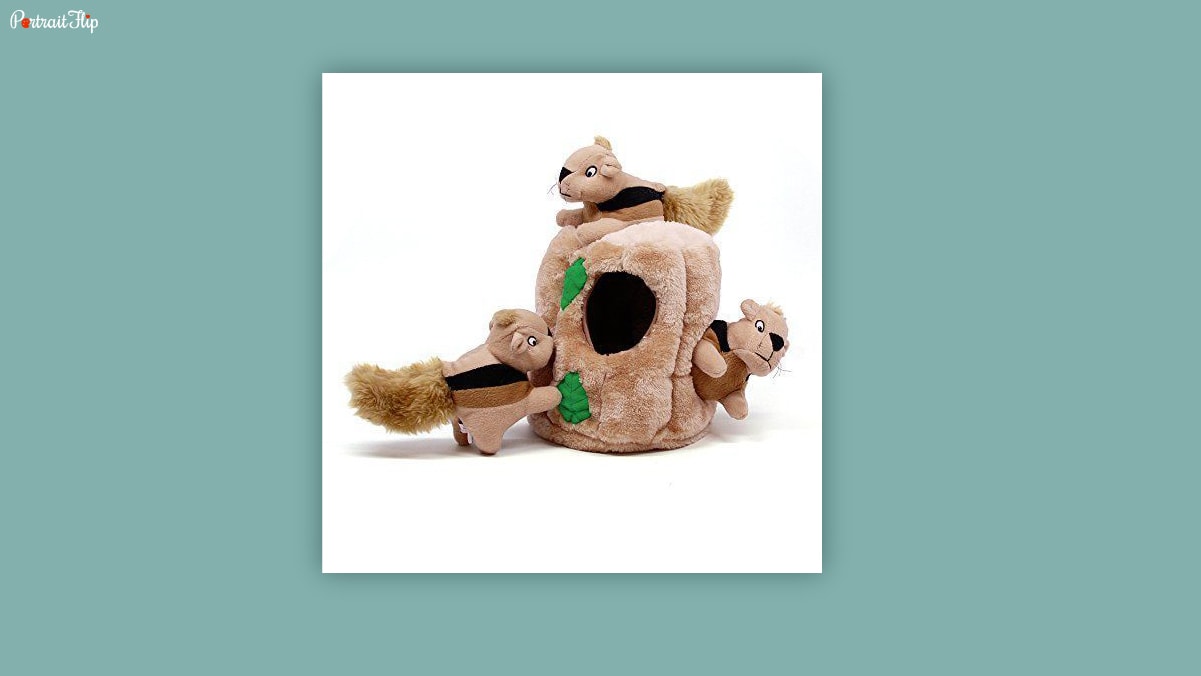 A soft toy with 3 squirrels and a tree hole in a white background kept as dog birthday gifts. 