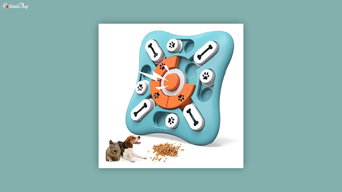 A light blue colored dog treat puzzle with an orange button in center, a dog and a cat sitting in the bottom left corner with some pet food sprinkled beside them on a white background. 