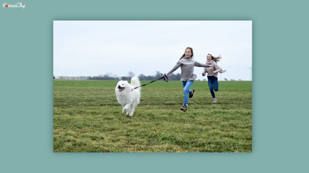 A white dog running with two girls holding its leash as dog birthday gifts on a grassy lawn with a clear sky. 
