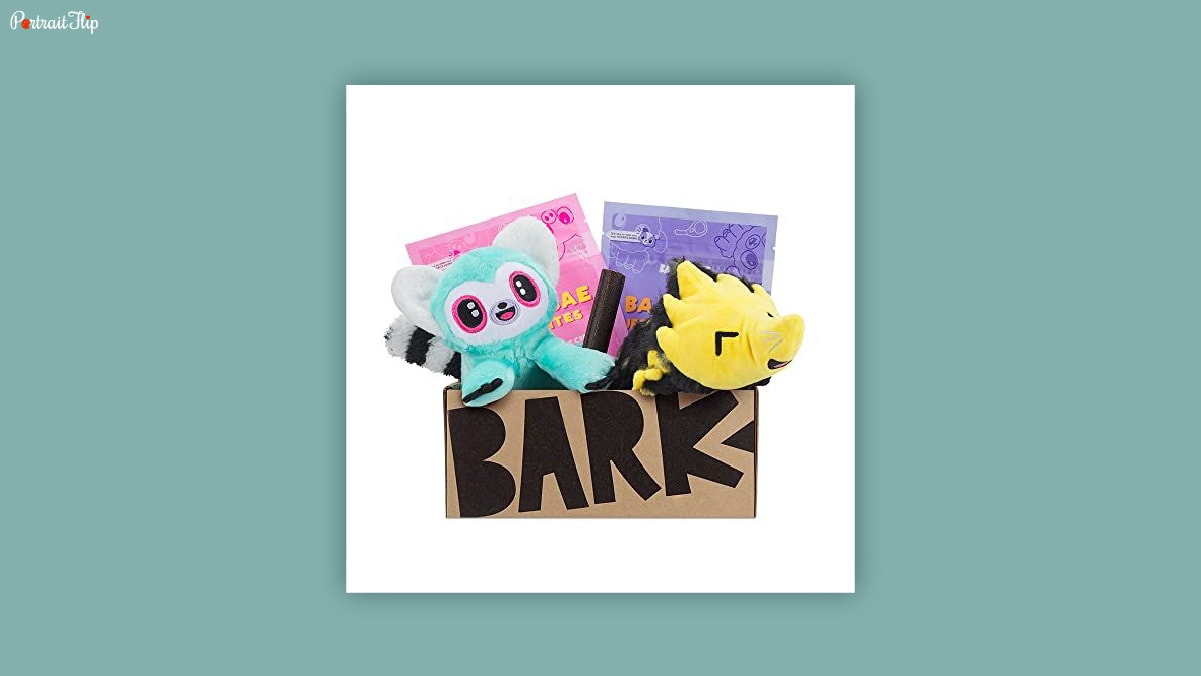 A cardboard box containing 2 soft toys and 2 pink and purple colored cards behind them on a white background with BARK written on the box kept as dog birthday gifts. 