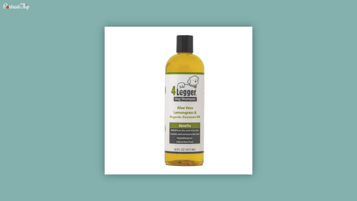 A bottle of 4 legger shampoo with a black cap on a white background kept as dog birthday gifts.