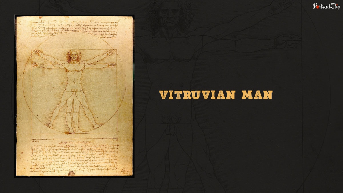 Portrait of one of the famous paintings "Vitruvian Man" by Leonardo da Vinci