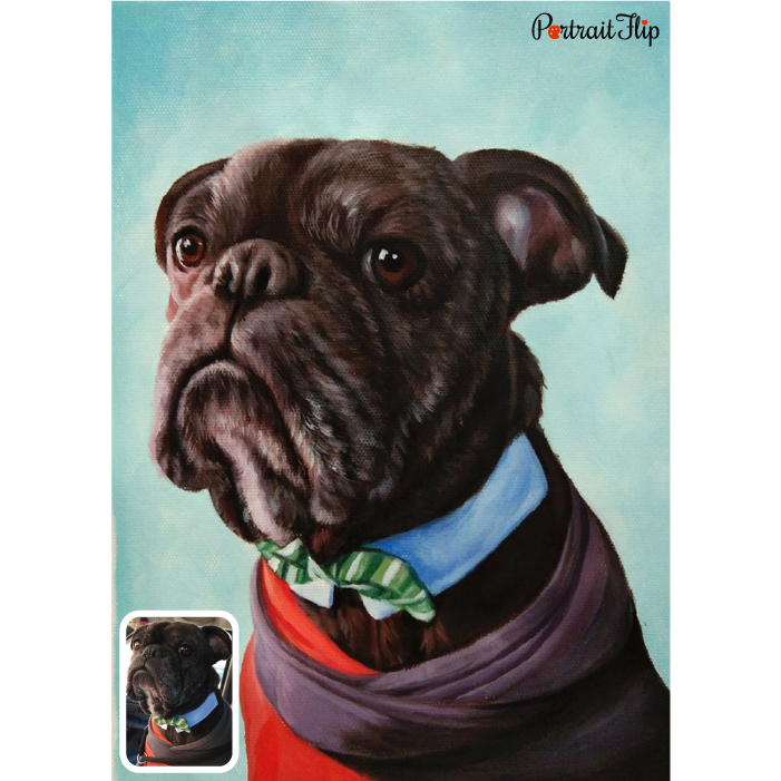 pet dog pastel portrait