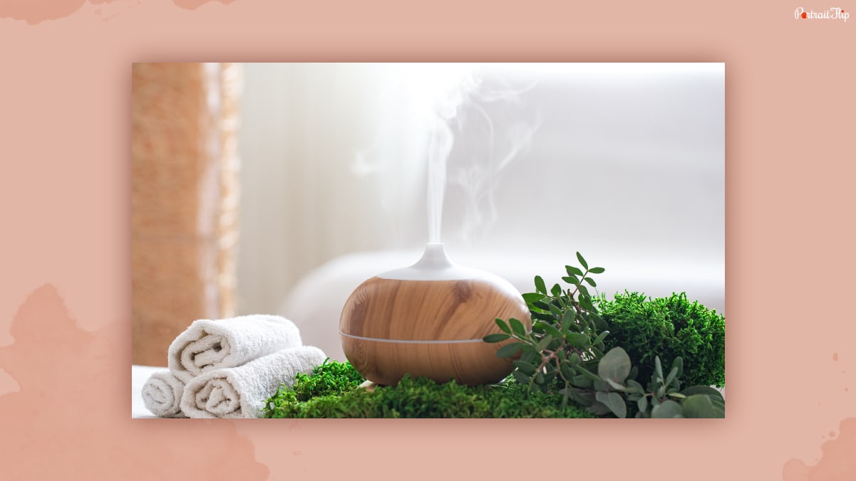 A diffuser placed near green artificial plants and white roll towels.