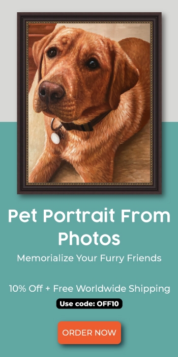 Dog Portrait Ad
