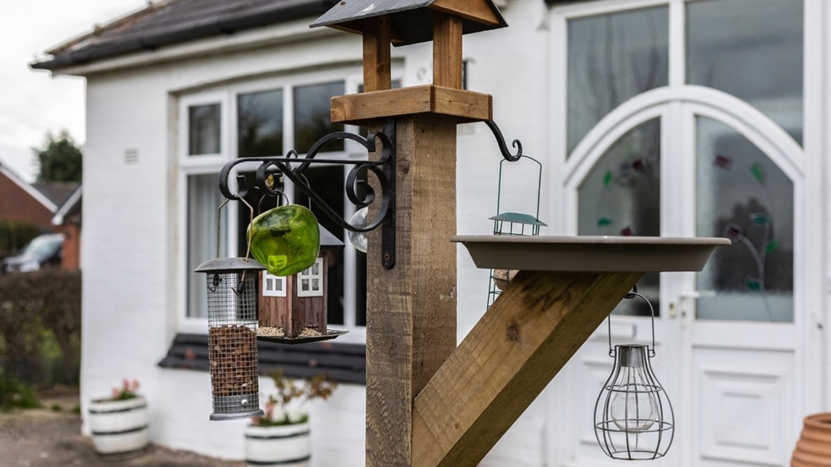 Bird Feeding Station