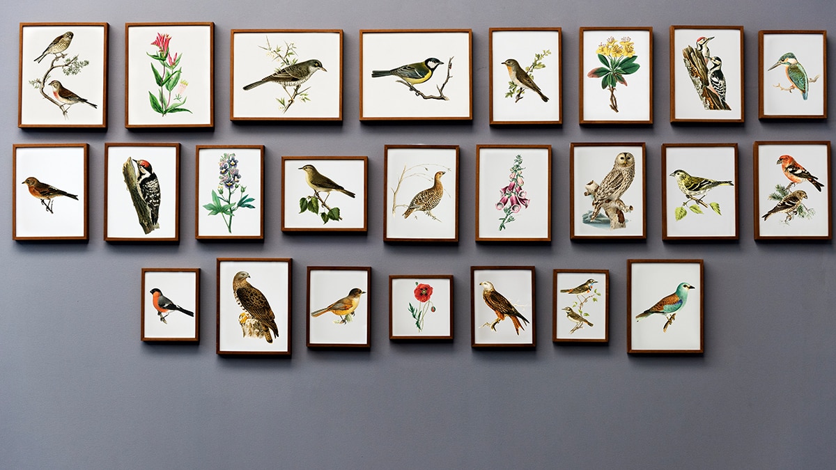 Bird Wall Art