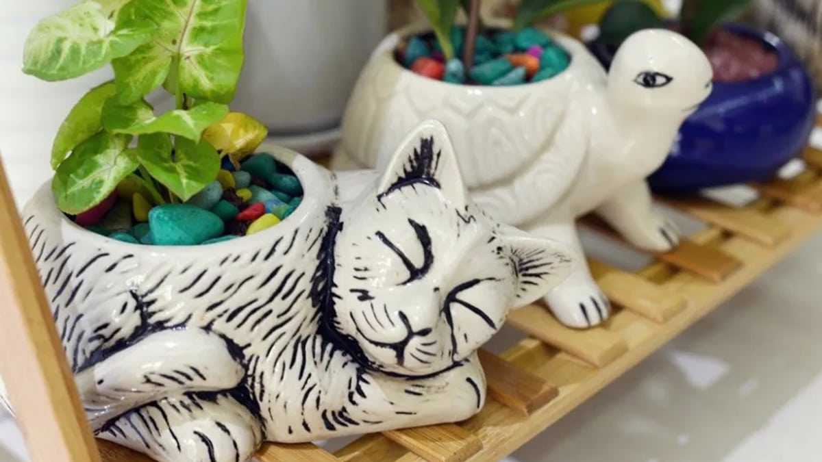 Cat Planted Pots