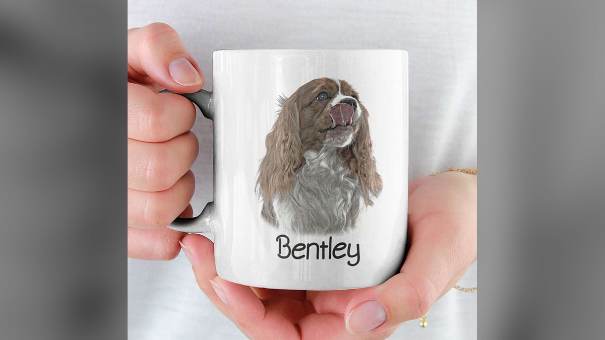 Coffee Mug For Pet Lovers
