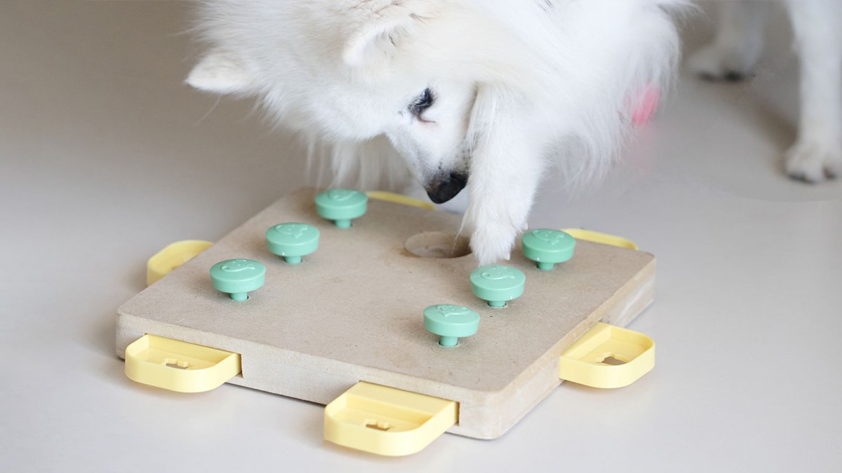 Dog Smart Puzzle Toy