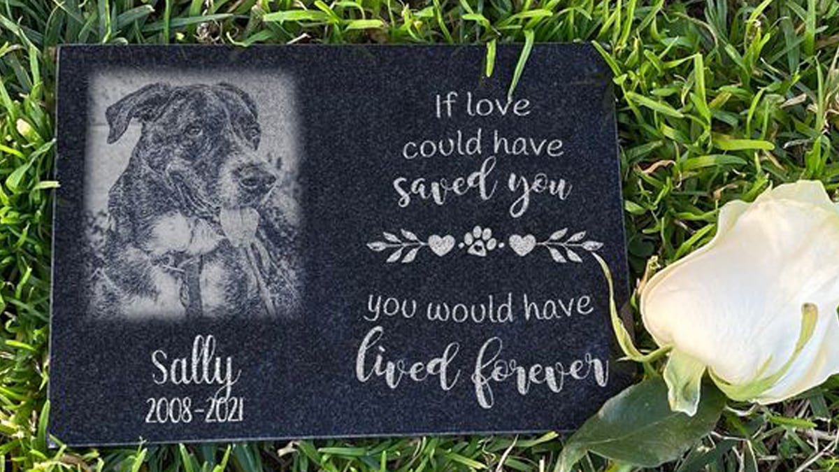 Pet Memorial Stone