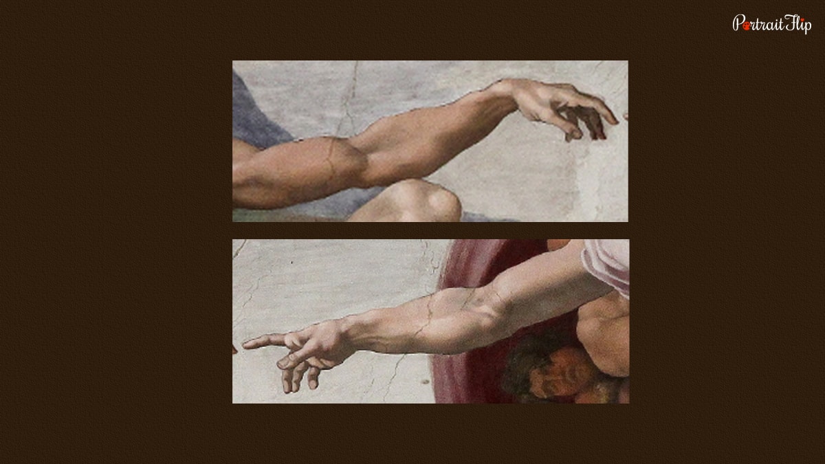 difference in adam and god's hand. 