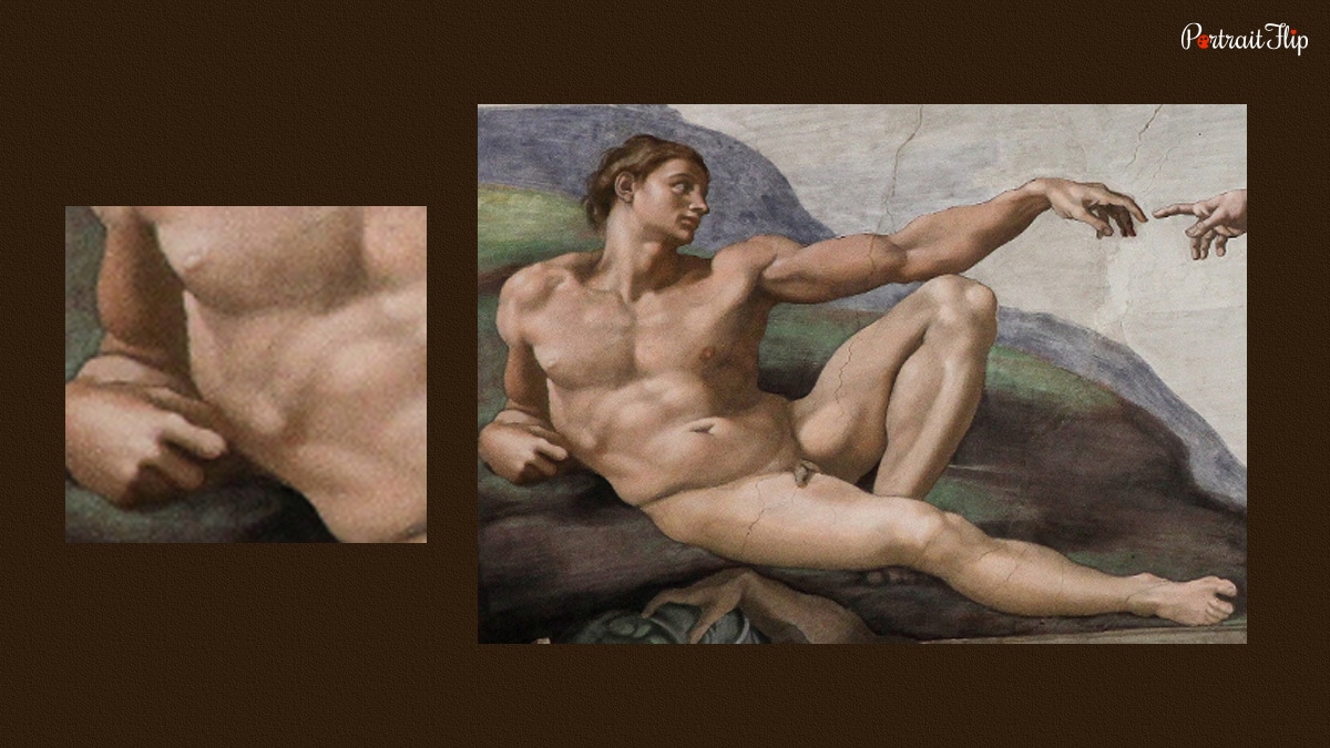 eve's rib in the creation of adam