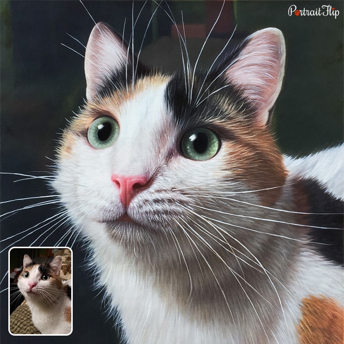 Picture of a cat face which is converted into oil cat portraits