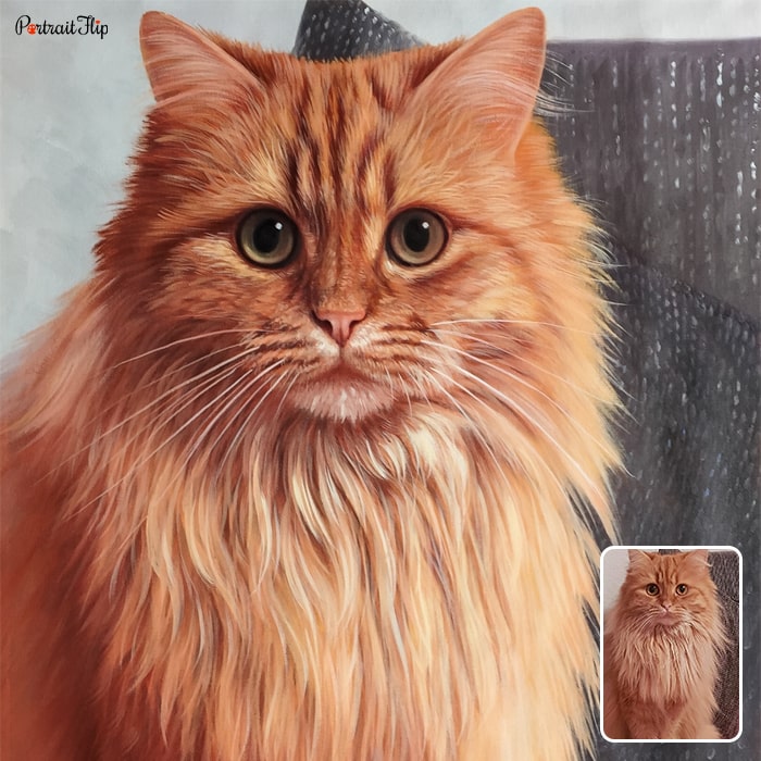 Picture of cat which is converted into oil cat portraits