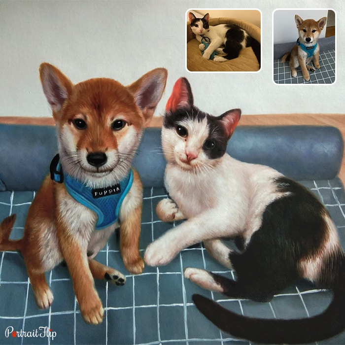 Compilation picture of a dog and a cat who are placed next to each other is converted into cat portraits