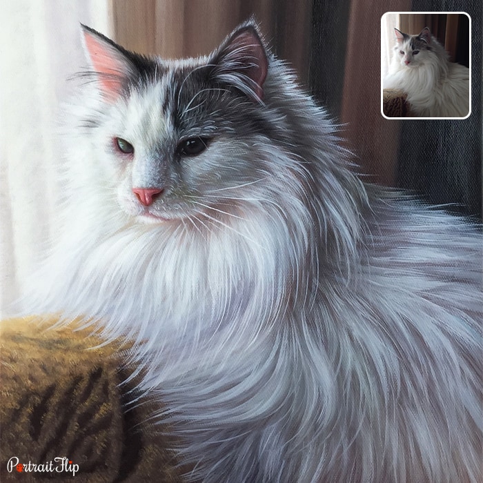 Close-up shot of a cat which is converted into cat portraits