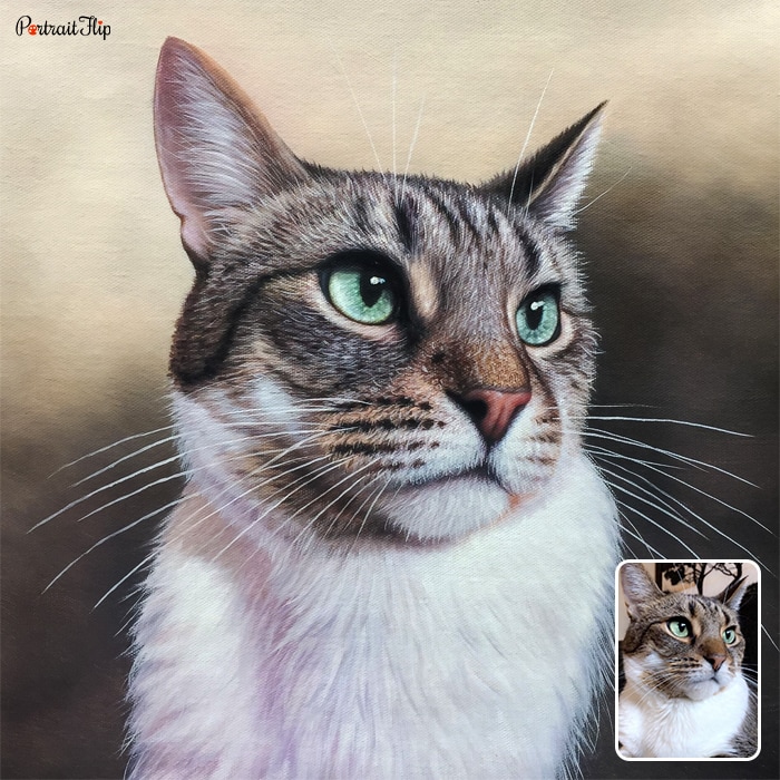 Close up of a cat which is converted into oil cat portraits