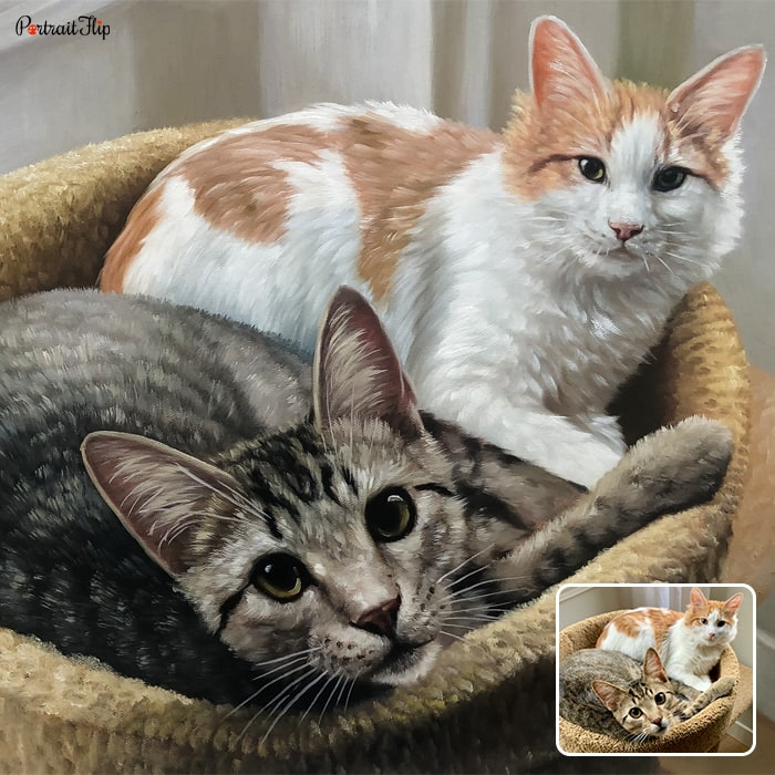 Picture of two cats sitting next to each other in a basket which is converted into oil cat portraits