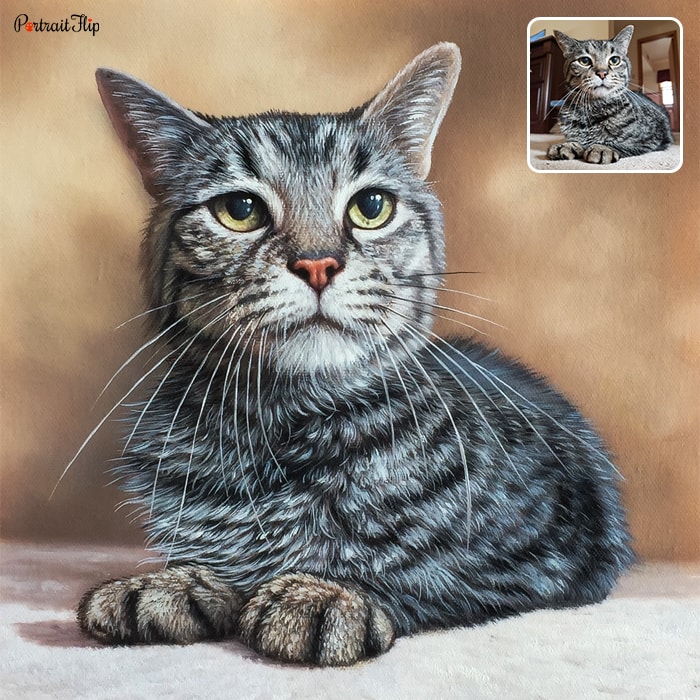 Photo to oil cat portraits where the cat is in a sitting a posture
