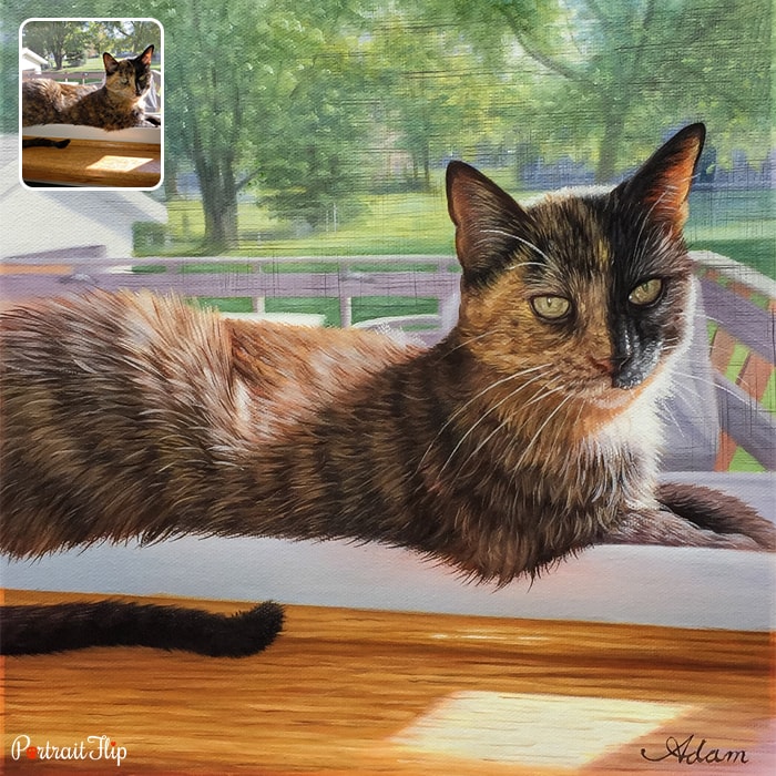Picture of a cat sitting on side table which is converted into oil cat portraits
