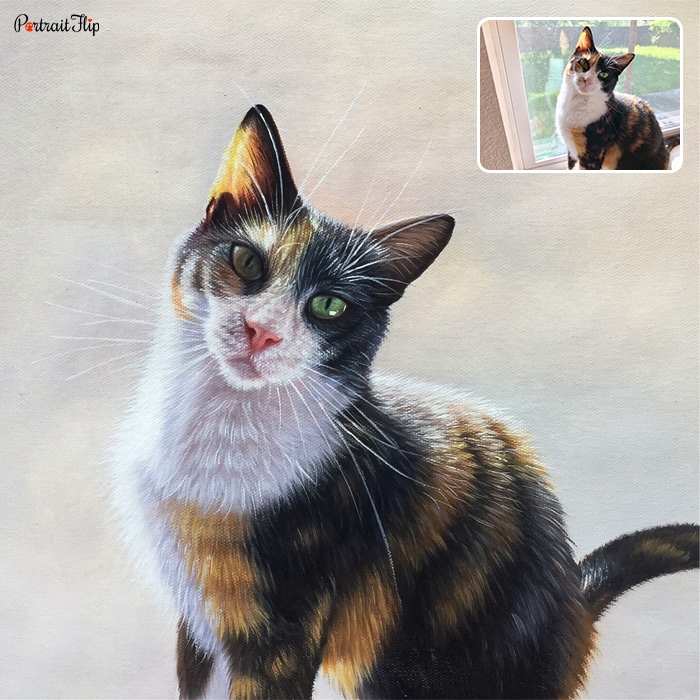 Acrylic cat portraits where a cat is sitting in a white background