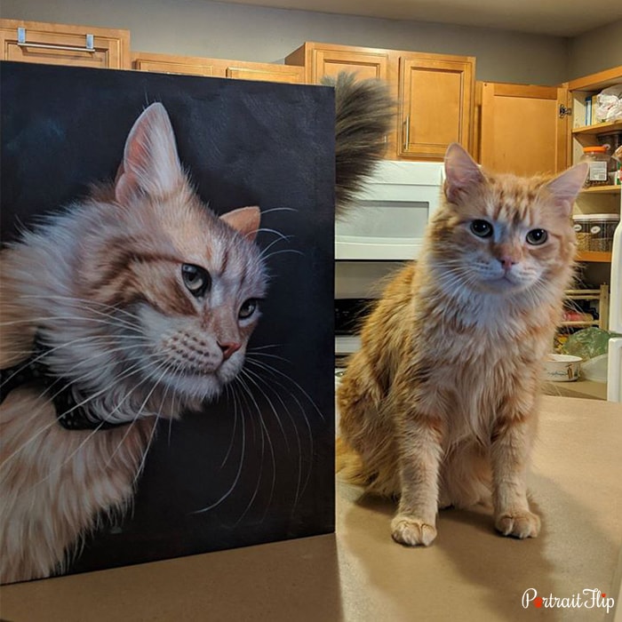 Picture of a cat standing on a table with her cat portraits
