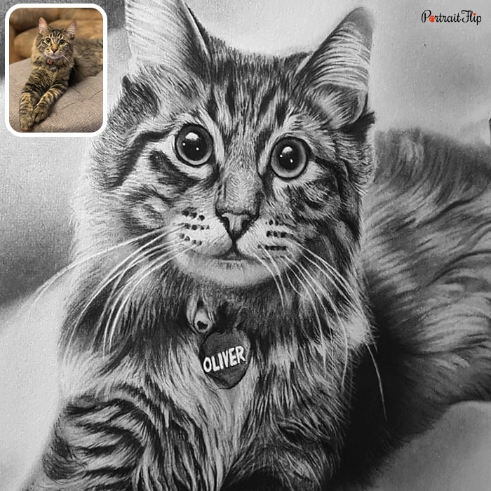 Charcoal pet portraits of a cat sitting on a couch