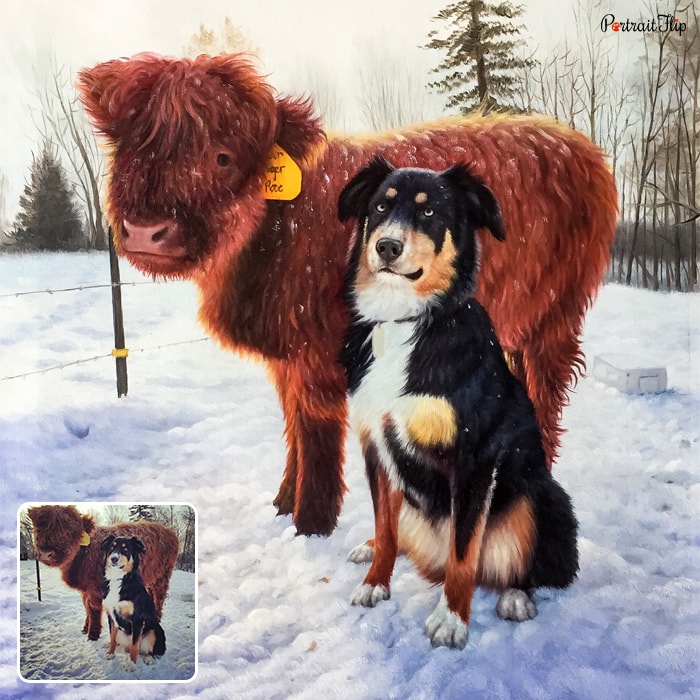Picture of a dog standing next to a cow in snow is converted into a cow portraits