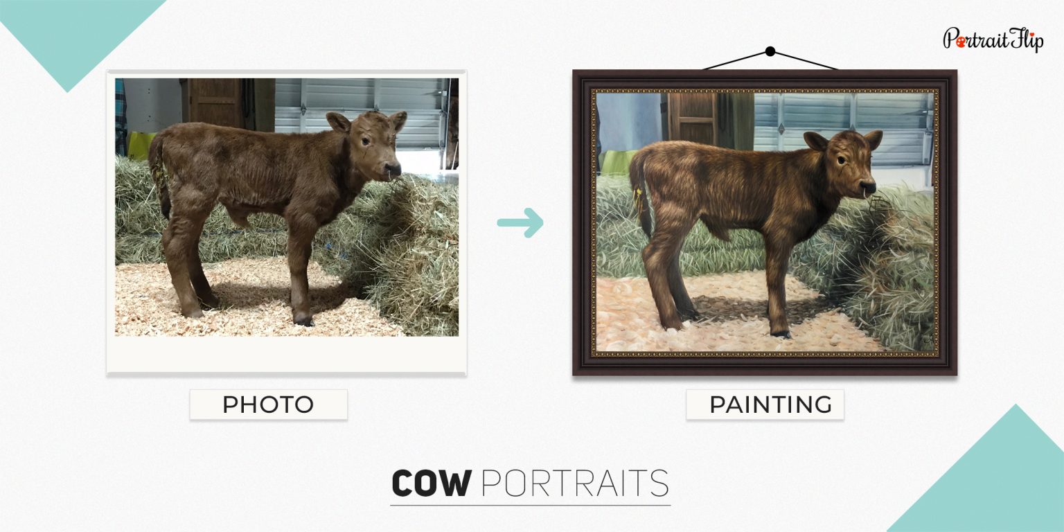 Custom Cow Portraits From Photo | Cow Paintings By Real Artists