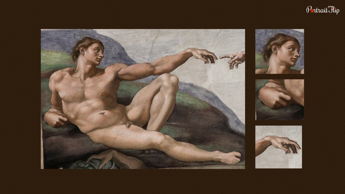 adam and his appearance in Creation of Adam painting