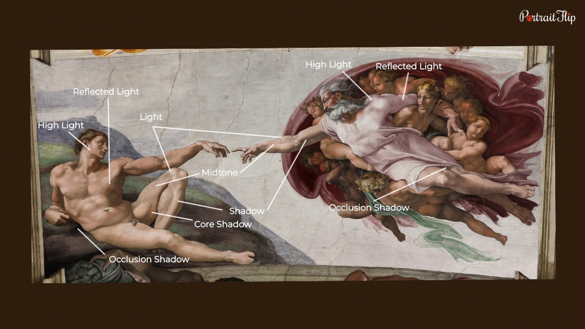 highlights and shadows in the creation of adam
