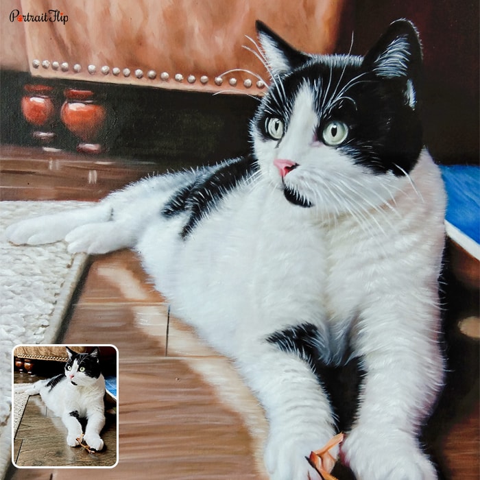 Picture of a cat sitting on floor is converted into pet portraits
