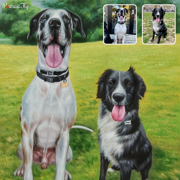 Picture of two dogs sitting in the background with grass that is compiled as dog portraits