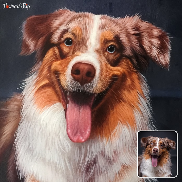 Picture of a dog with his tongue out that is converted into dog portraits