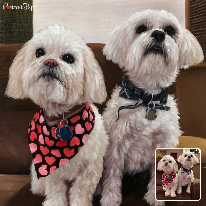 Compilation of pictures of two maltese dogs that are converted into dog portraits
