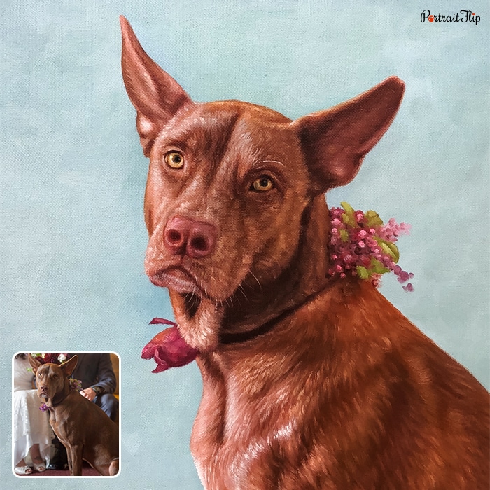 Dog portraits where the dog is side facing with a floral tie around his neck