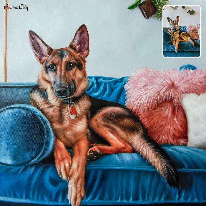 Picture of a german shepherd dog sitting on a couch that is converted into dog portraits